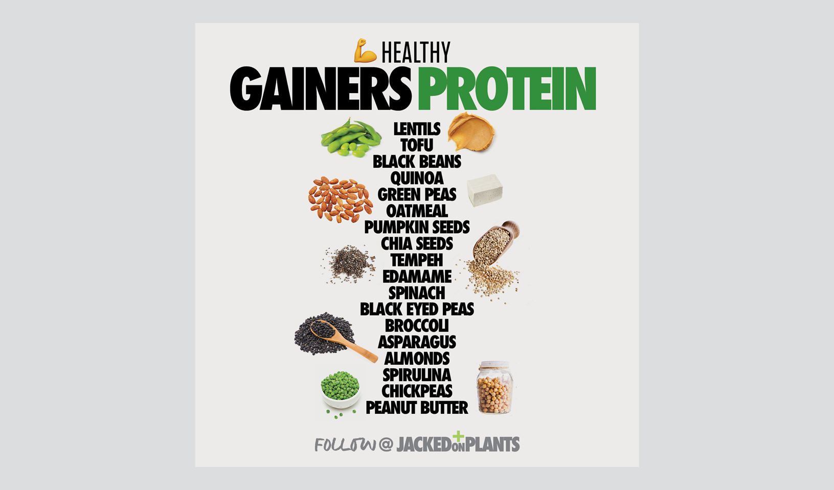 Healthy plant based protein