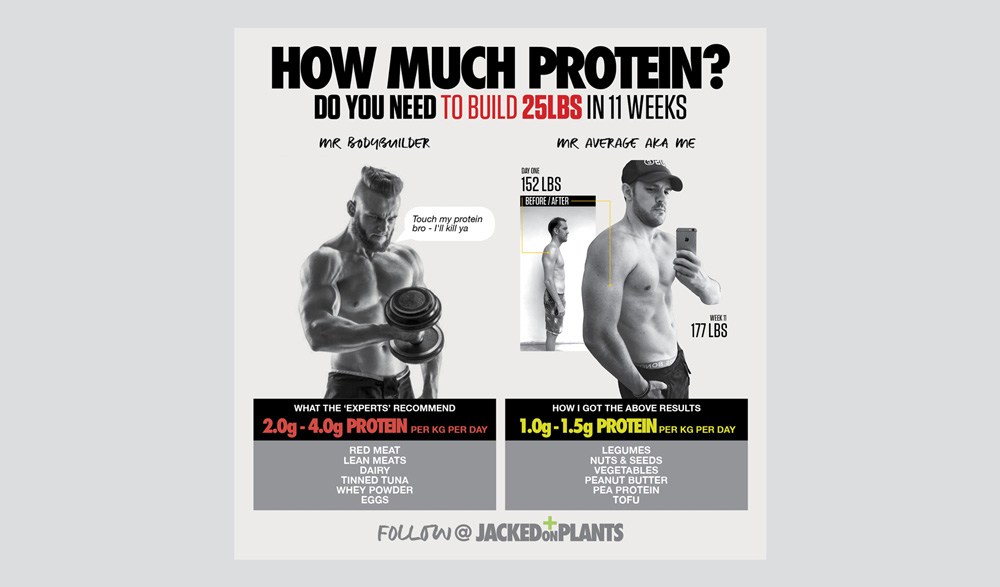 How much protein for vegan bodybuilding